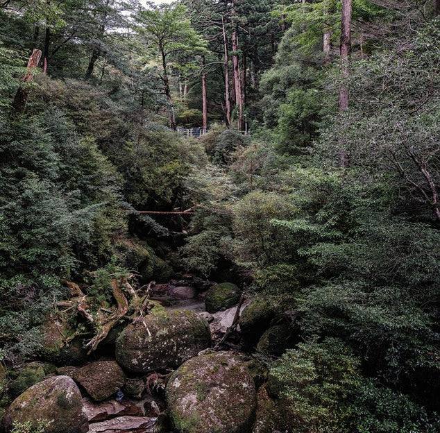 New Arrivals: Summer Fashion Trends