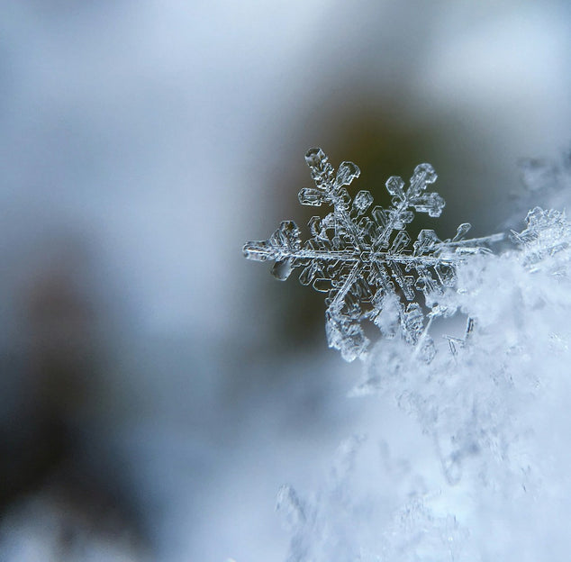 Garbarini Holiday Gift Guide