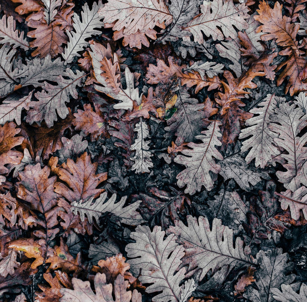 How to Wear Ankle Boots for Fall