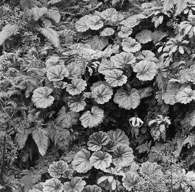 Upcoming Fashion at Garbarini Cherry Creek