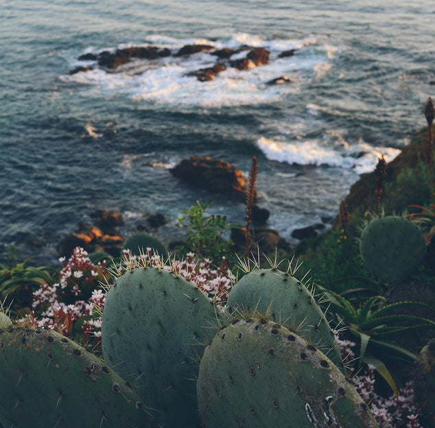 Guide to Resort Wear 2022