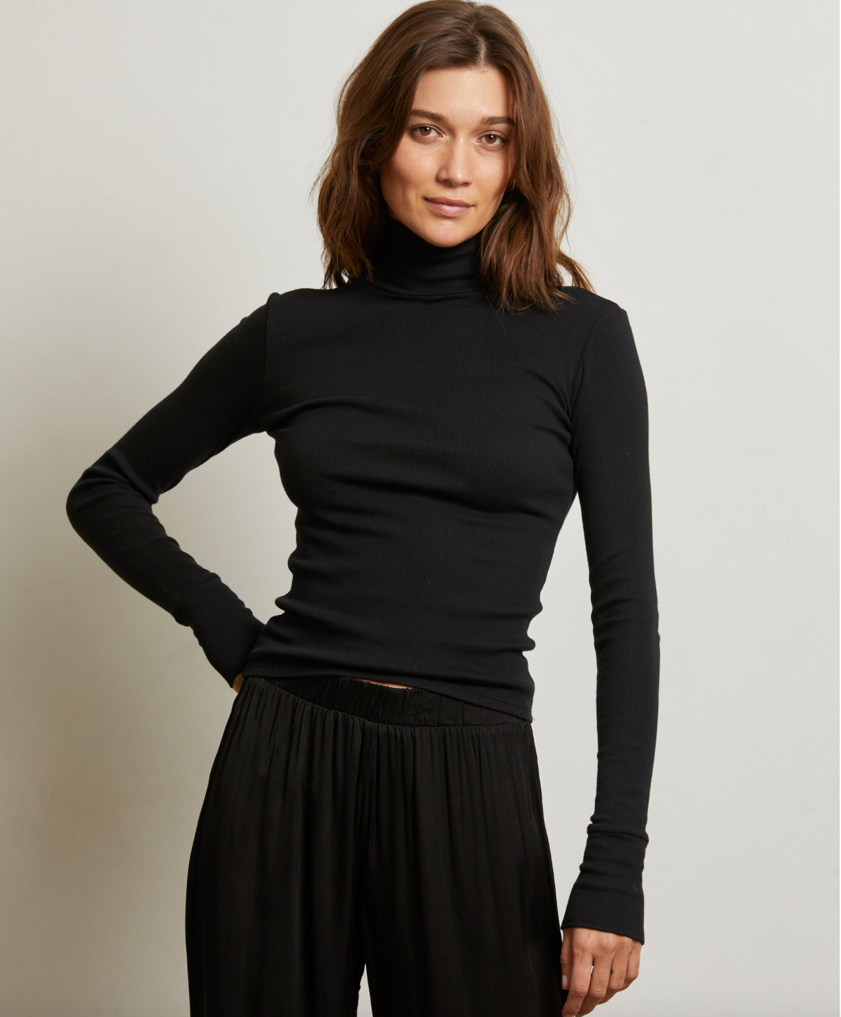 Hayden Luxe Rib Turtle Neck