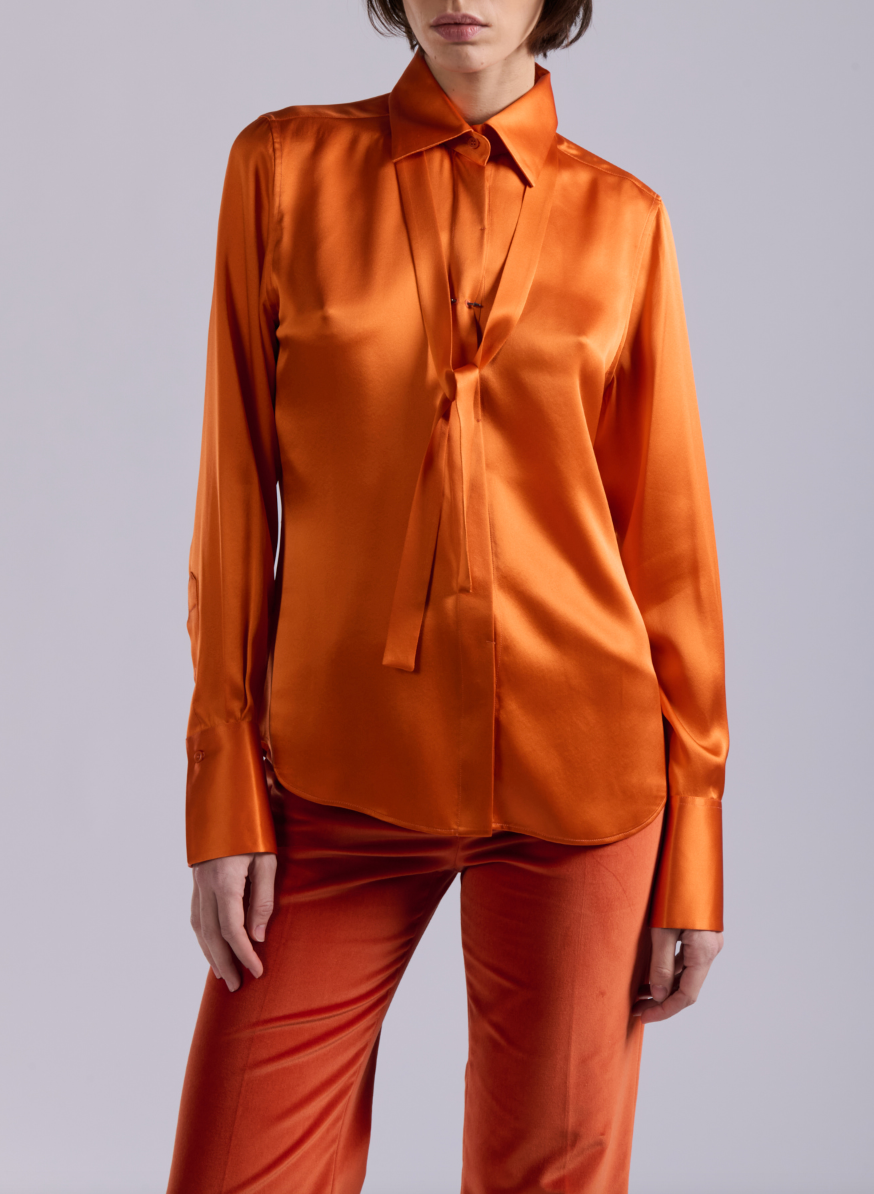 Tie Neck Blouse Tie Neck Blouse