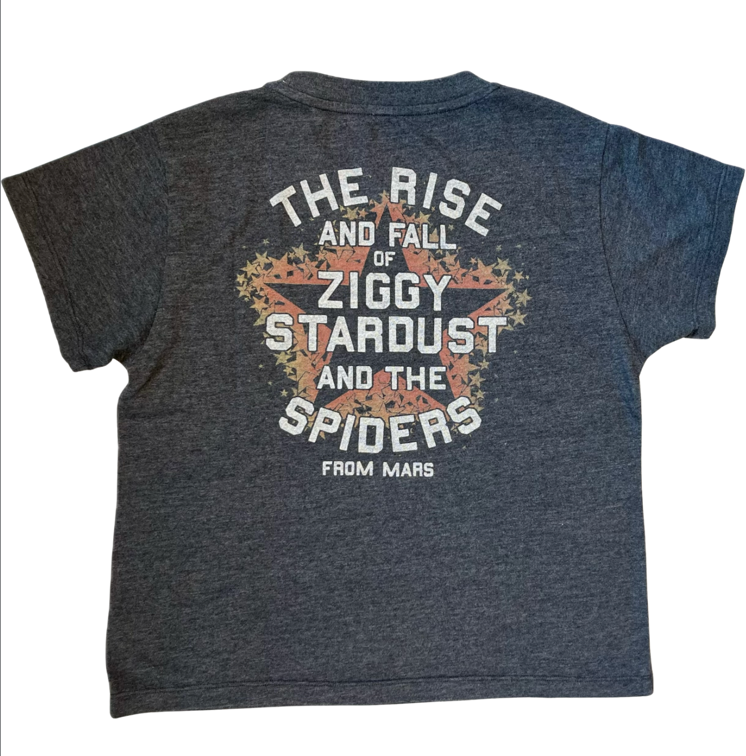 David Bowie Ziggy Stardust Tee