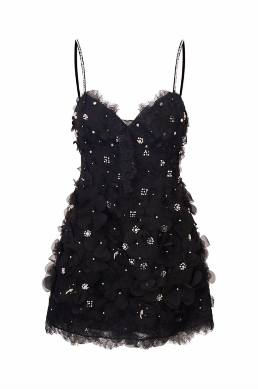 Ambessa Dress