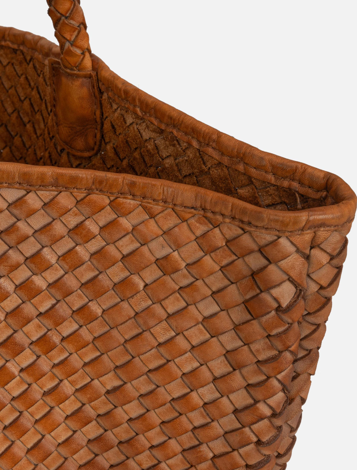 Taylor Shopper