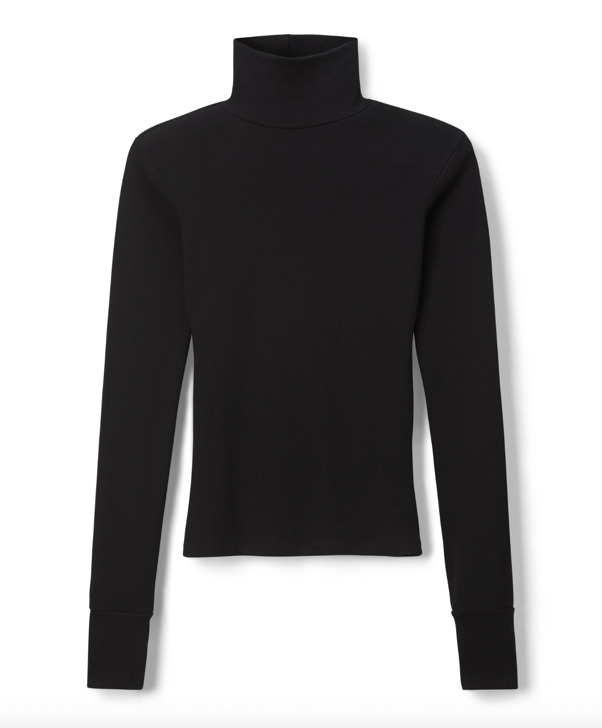 Hayden Luxe Rib Turtle Neck