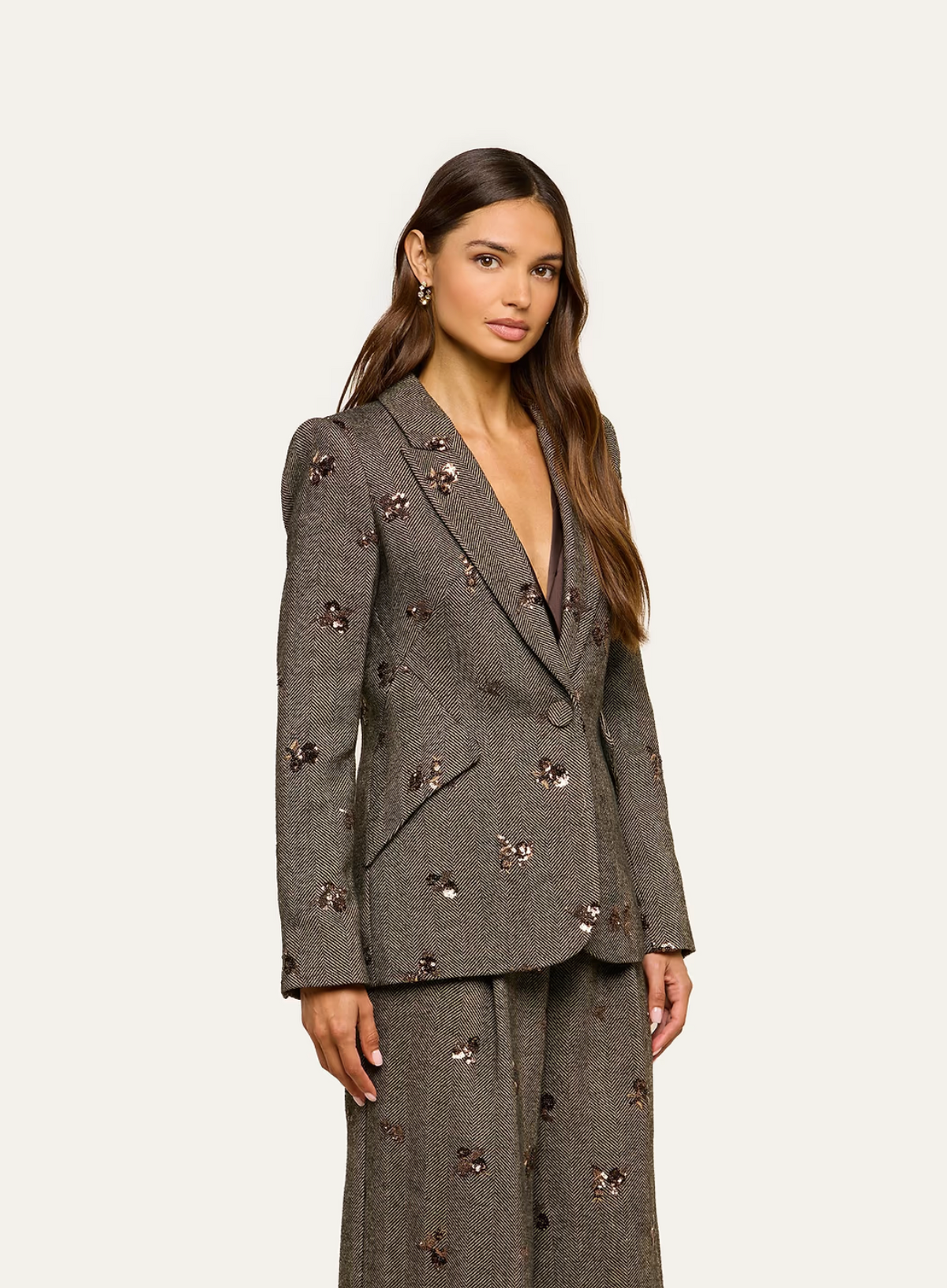 Chamberlain Blazer Sequins