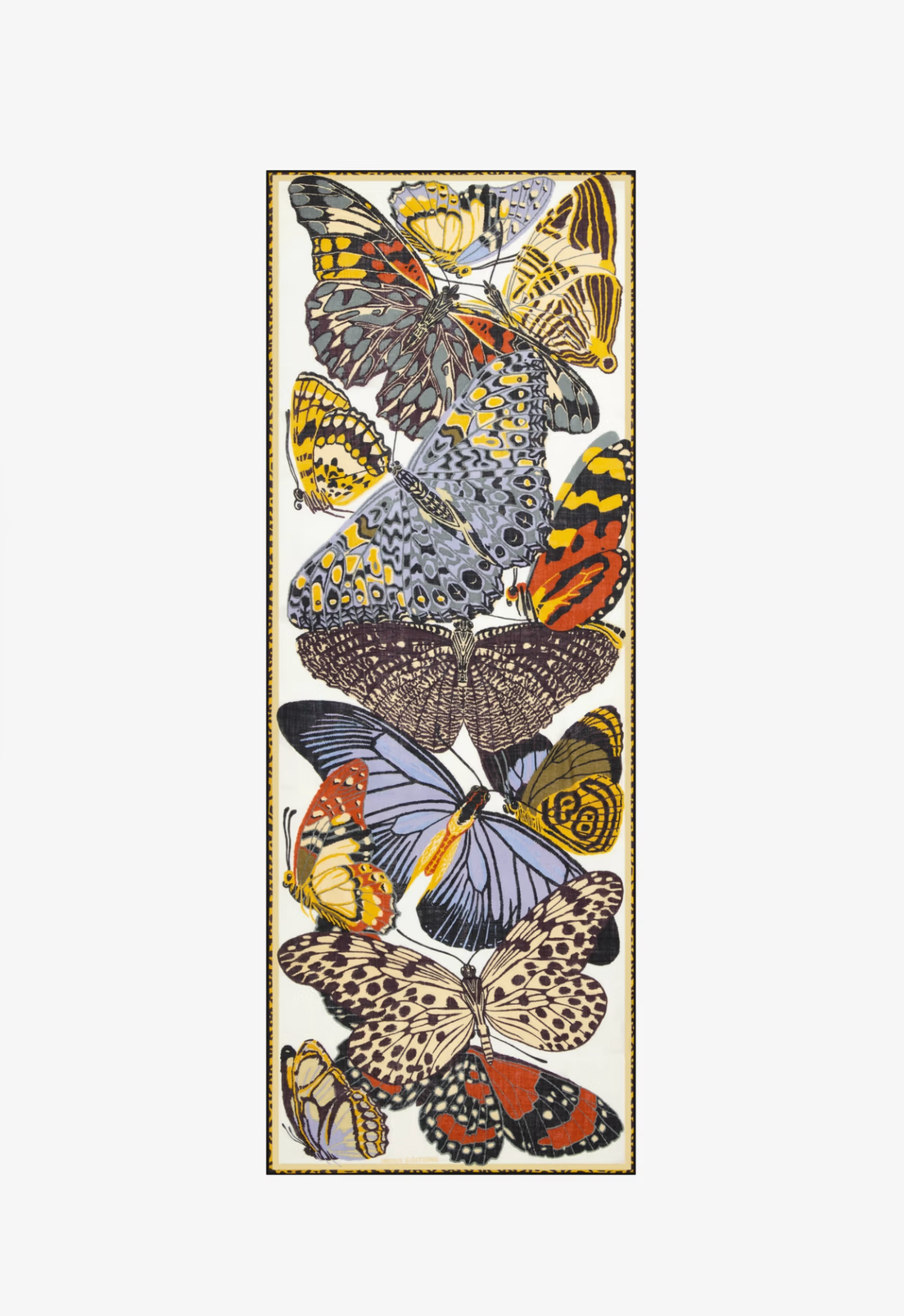 A tall, narrow decorative print featuring a collage of illustrated butterflies in many colors on a white background, framed by a thin dark border.
