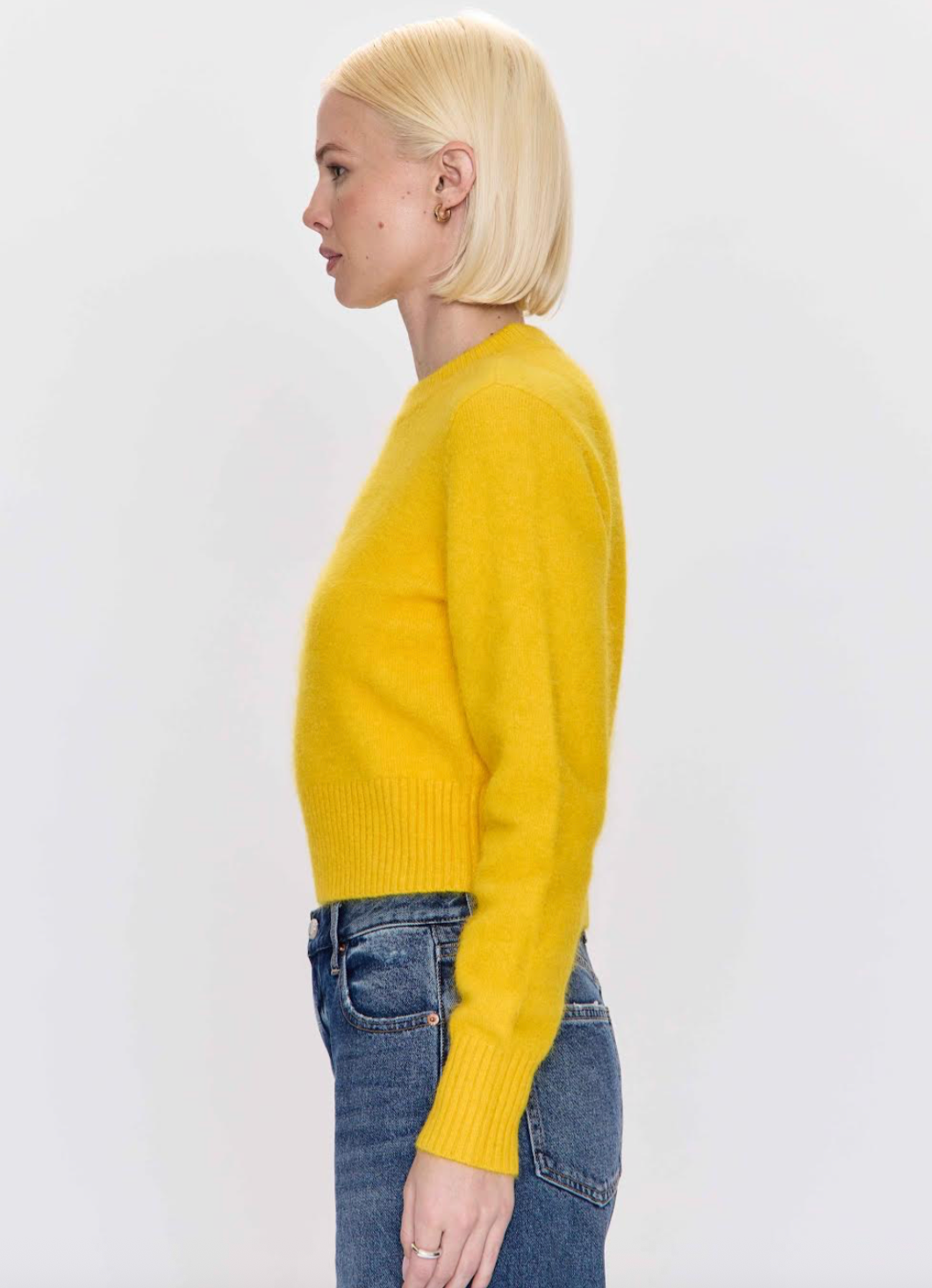 Sara Shrunken Crewneck Sweater