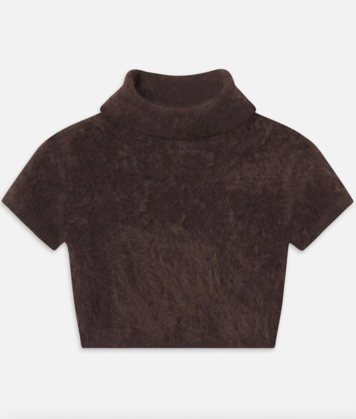 The Teddy Turtleneck