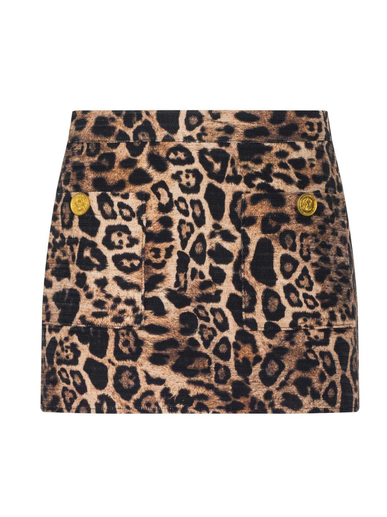 Cyra Low Rise Mini Skirt