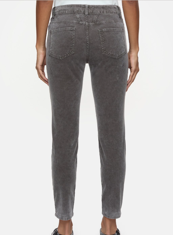 Baker Velvet Pant