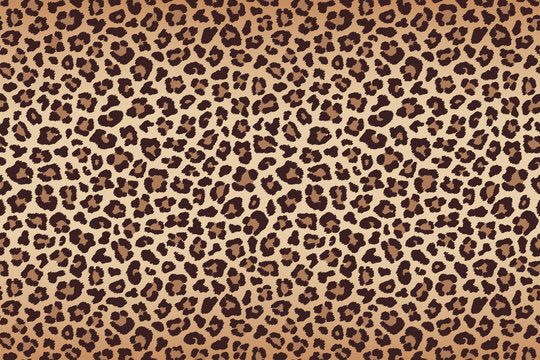 fawn-multi-soft-leopard.jpg